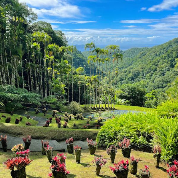 Jardin de balata